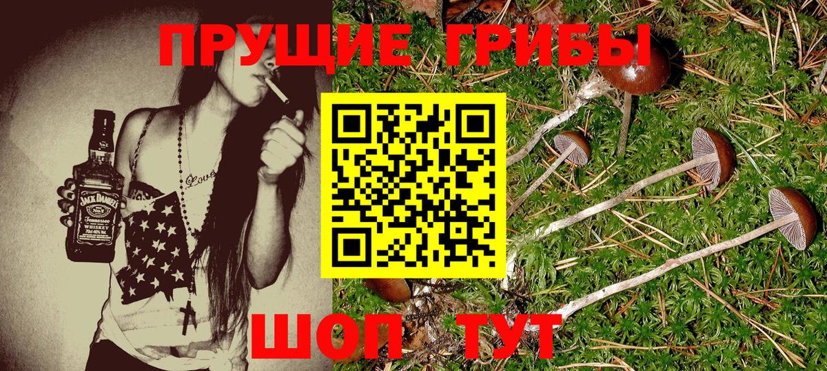 Галлюциногенные грибы мицелий  Вход с VPN  Чехов 